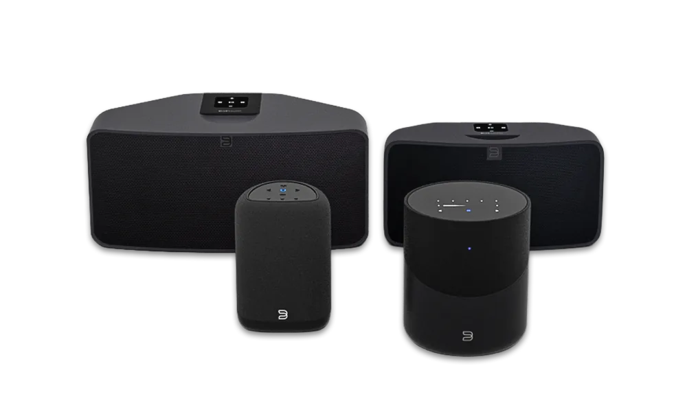 Bluesound product image 1