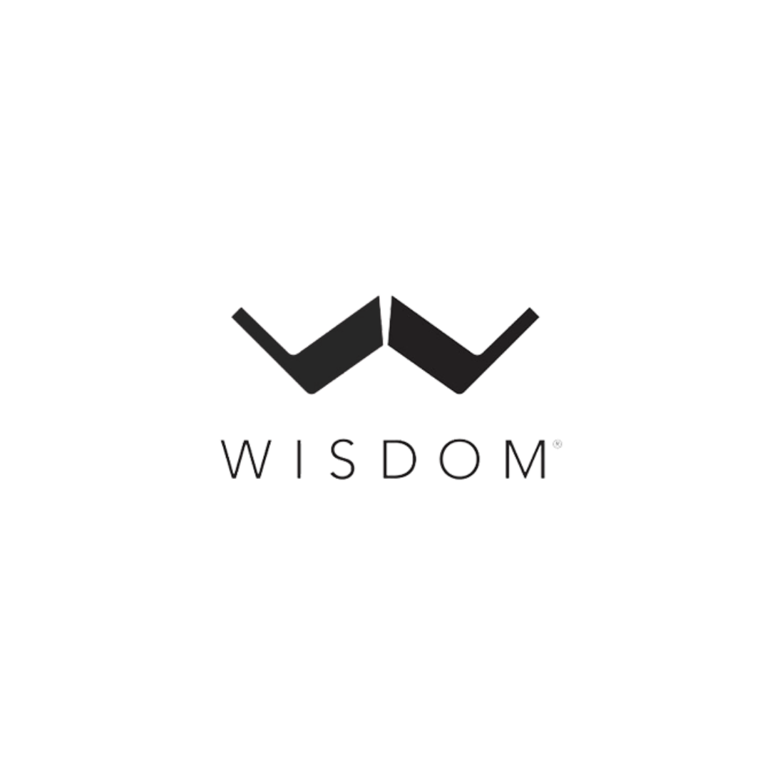 Wisdom Audio logo